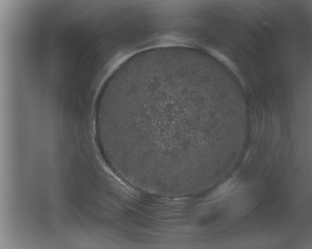 X0000067911415200604201352