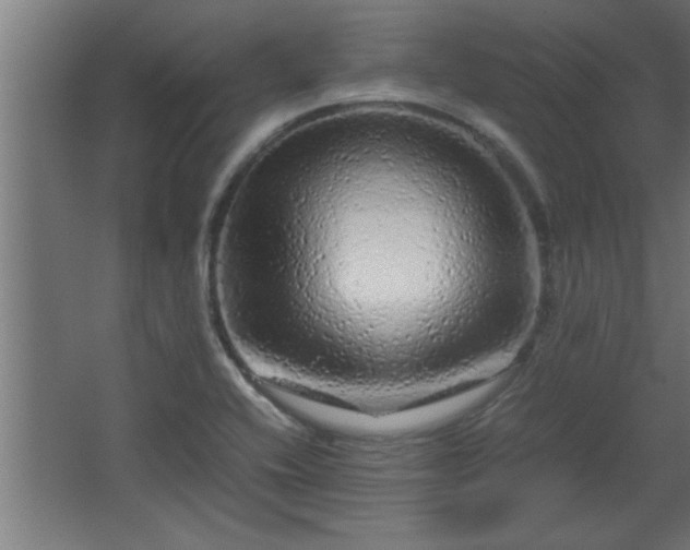 X0000067911416200604201352