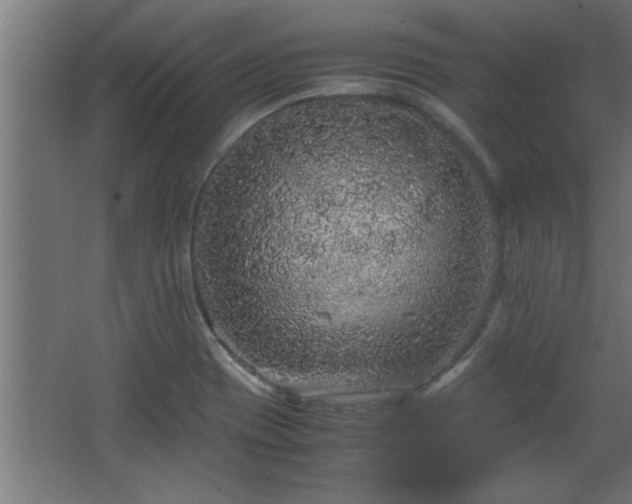 X0000067911417200604201352