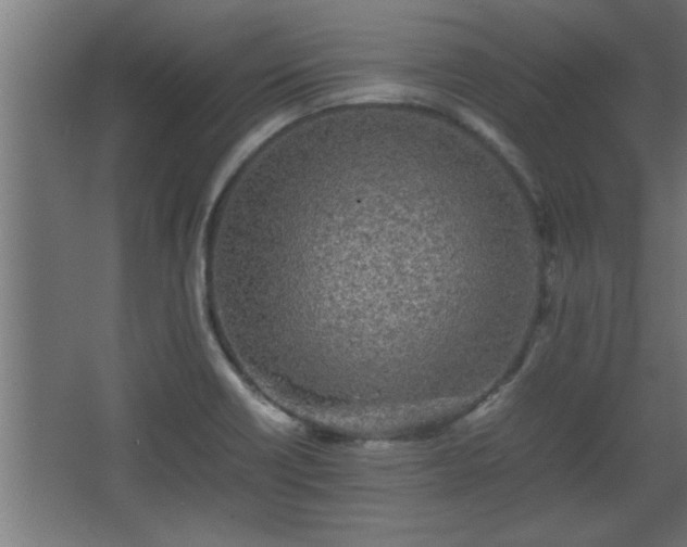 X0000067911418200604201352