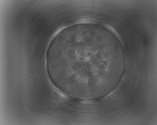 X0000067911419200604201352