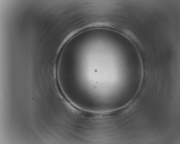 X0000067911420200604201353