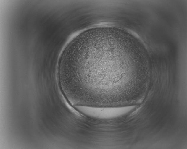 X0000067911421200604201353