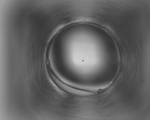 X0000067911422200604201353