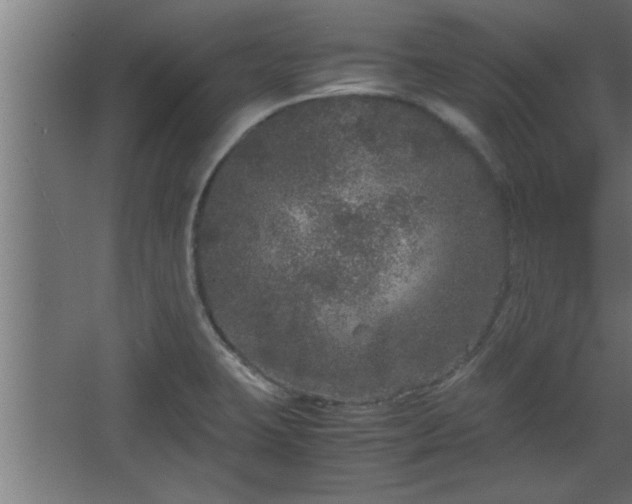 X0000067911423200604201353