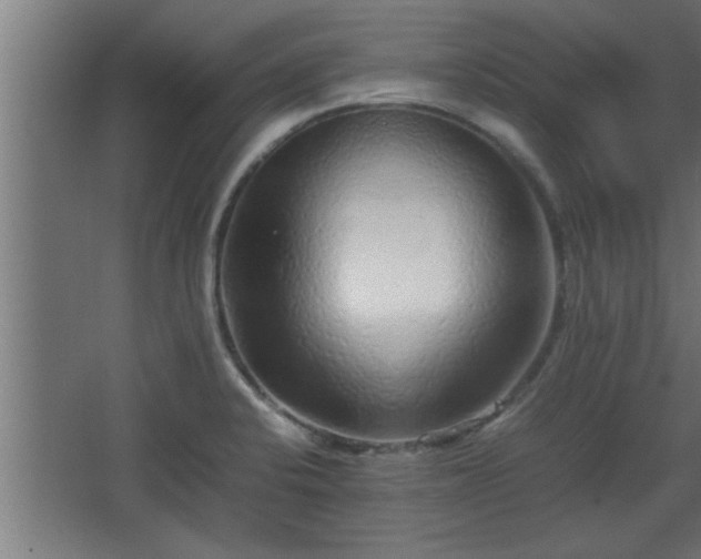 X0000067911424200604201353