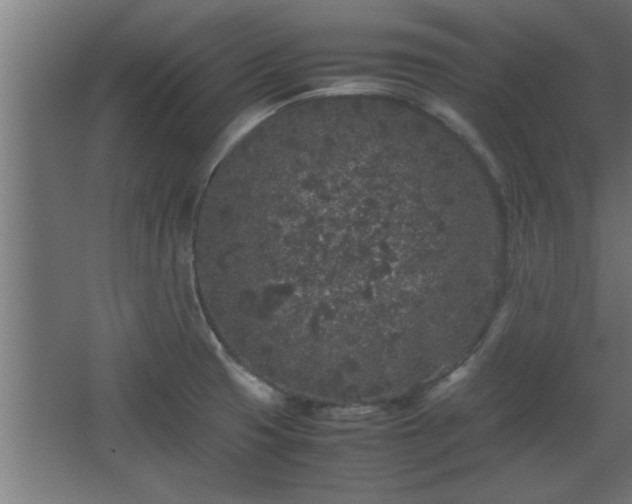 X0000067911425200604201353