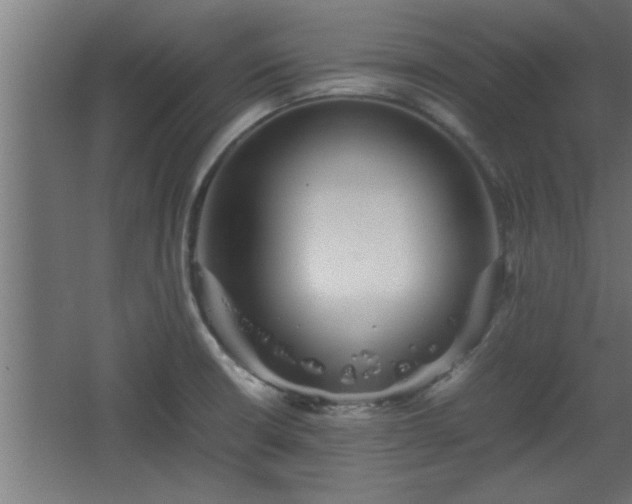 X0000067911426200604201353