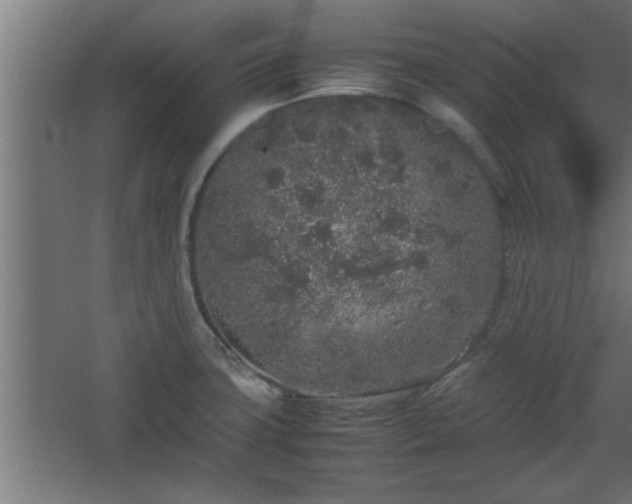 X0000067911427200604201353