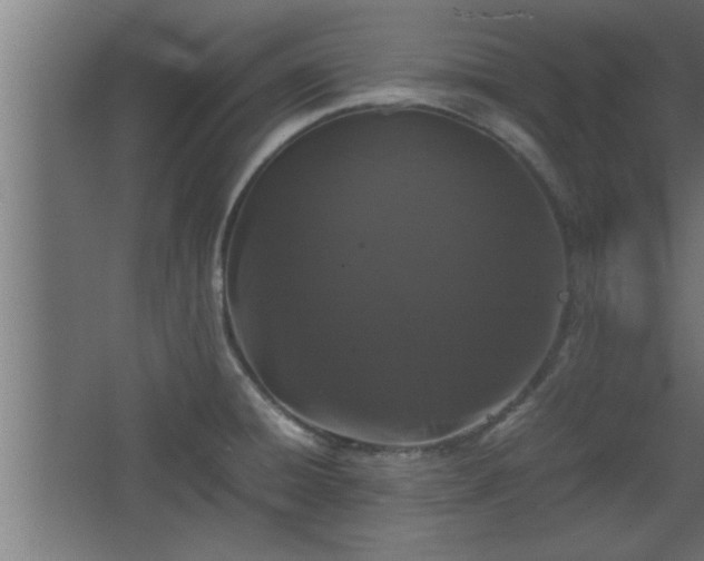 X0000067911428200604201353