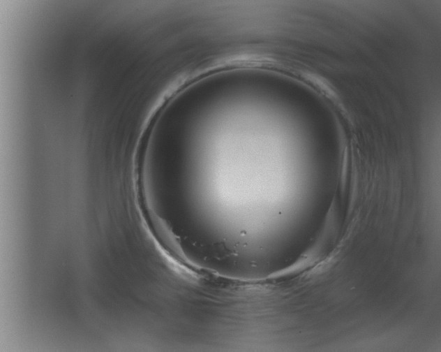 X0000067911430200604201353