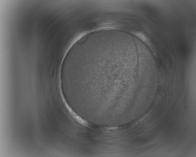 X0000067911431200604201353