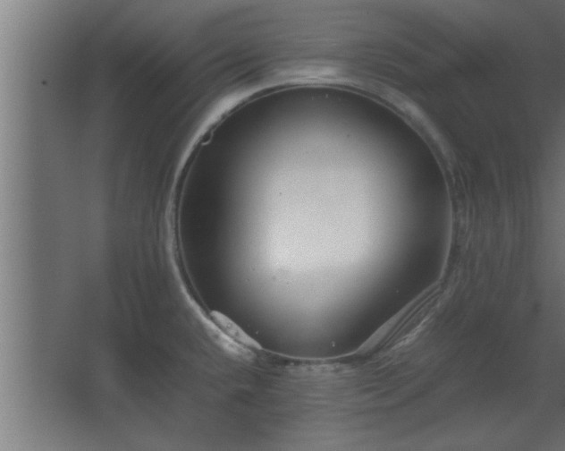 X0000067911432200604201353