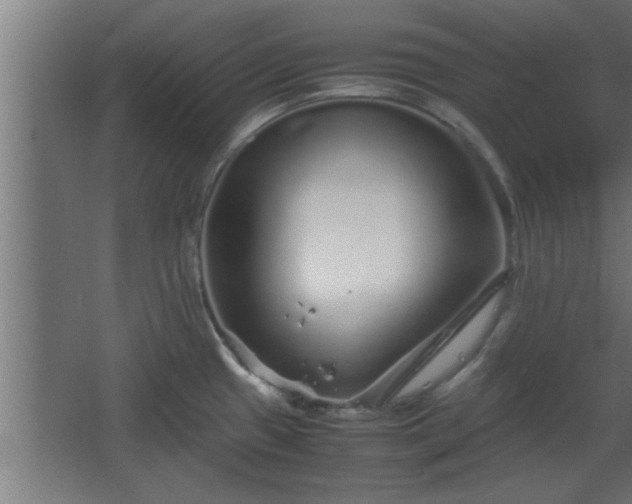 X0000067911433200604201353