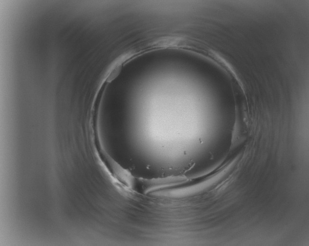 X0000067911434200604201353