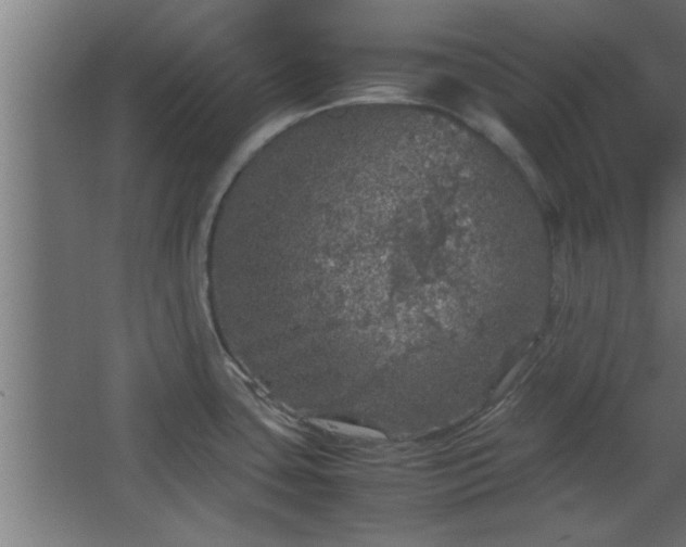 X0000067911435200604201353