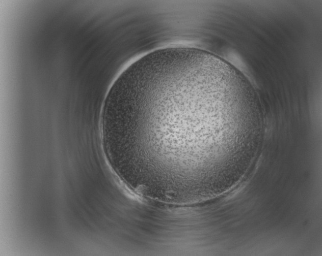 X0000067911436200604201353