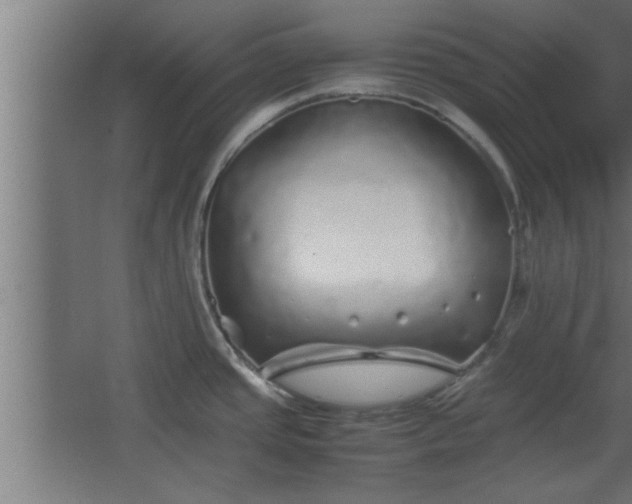 X0000067911437200604201353