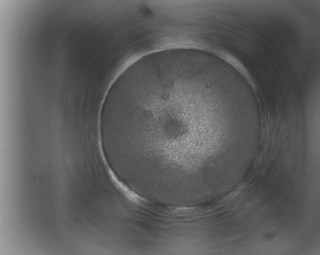 X0000067911439200604201353