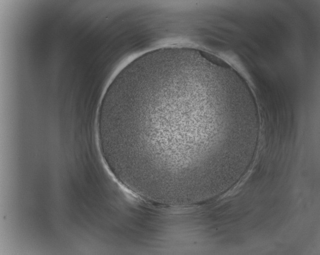 X0000067911440200604201353