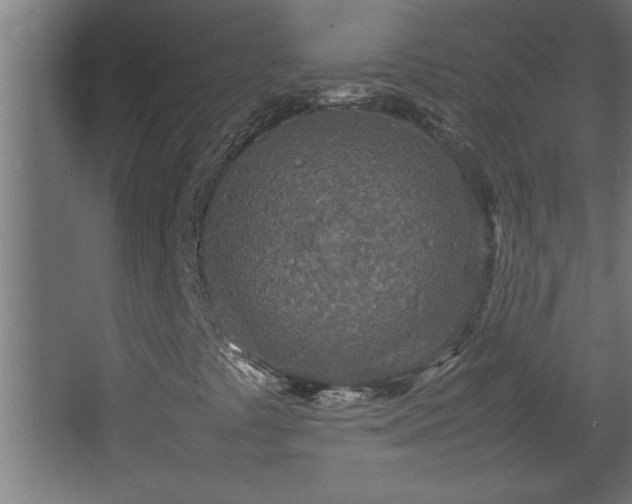 X0000067911441200604201352