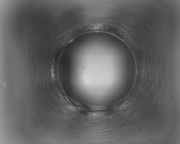 X0000067911442200604201352