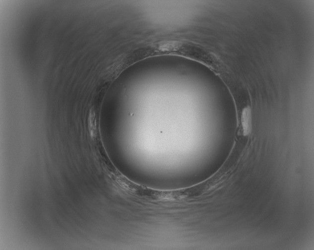 X0000067911443200604201352