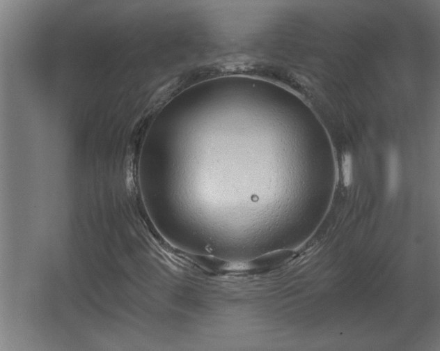 X0000067911444200604201352