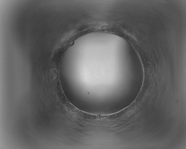 X0000067911447200604201352