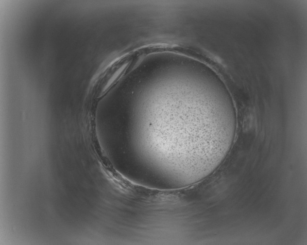 X0000067911448200604201352