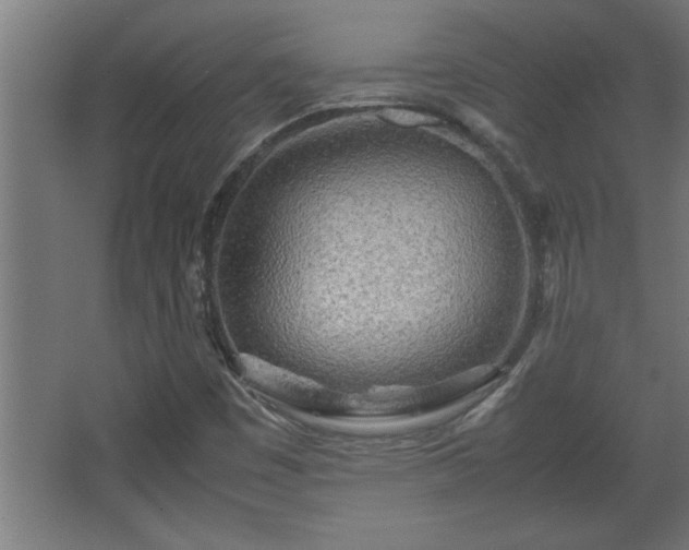 X0000067911449200604201352