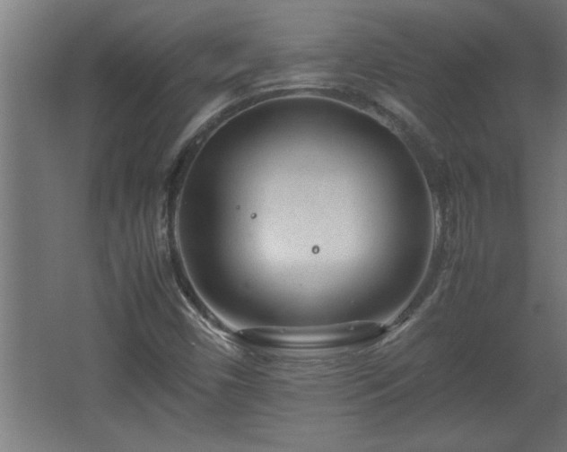 X0000067911450200604201352