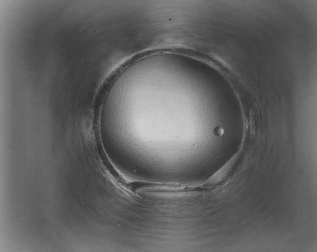 X0000067911452200604201352