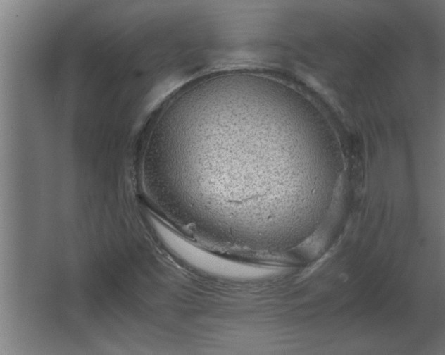 X0000067911453200604201352