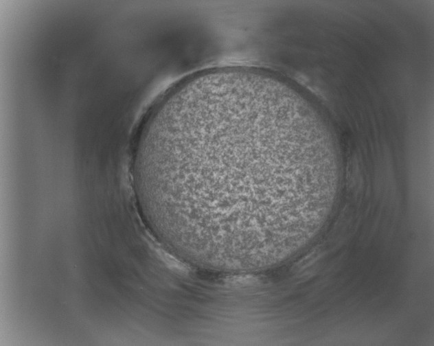 X0000067911454200604201352