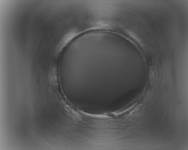 X0000067911455200604201352