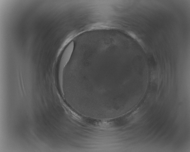 X0000067911459200604201352