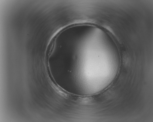 X0000067911460200604201352