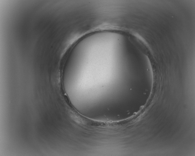 X0000067911461200604201352