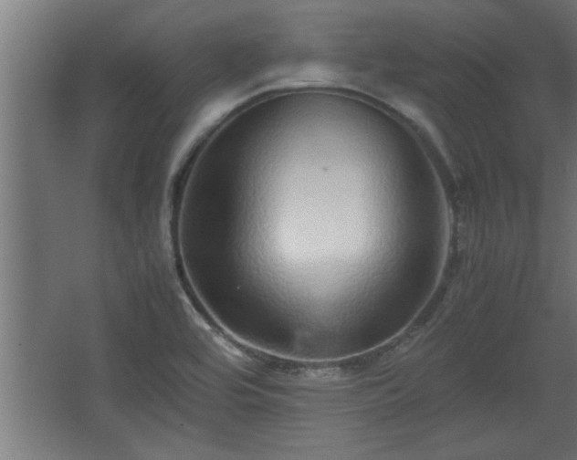 X0000067911464200604201352