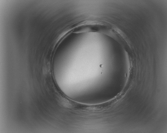 X0000067911465200604201352