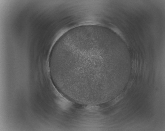 X0000067911466200604201352