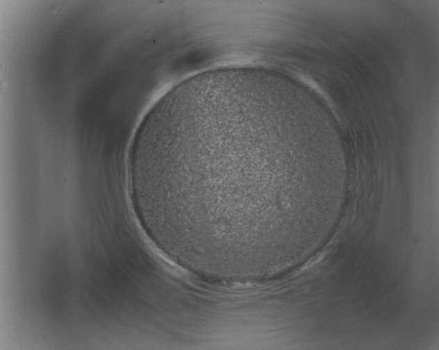 X0000067911467200604201352