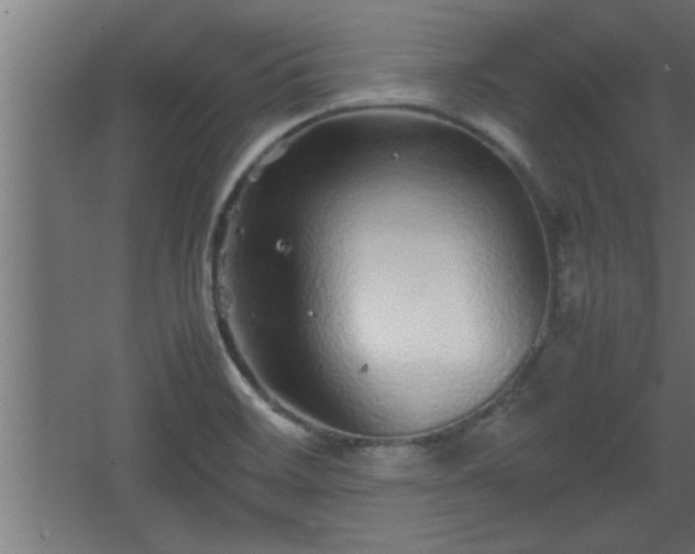 X0000067911468200604201352