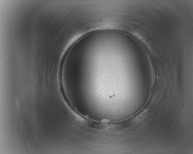 X0000067911469200604201352