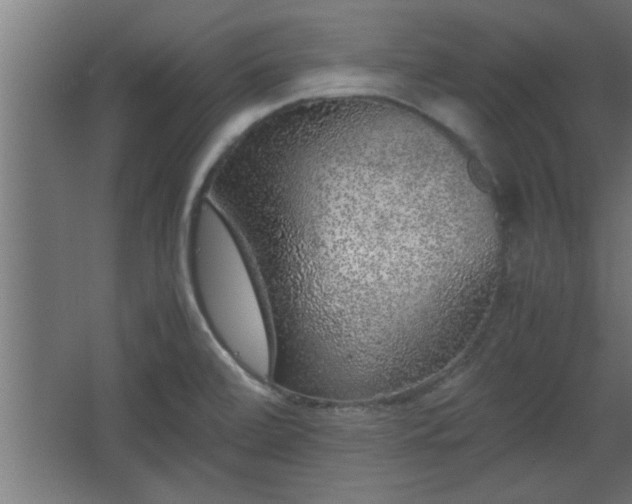 X0000067911472200604201352