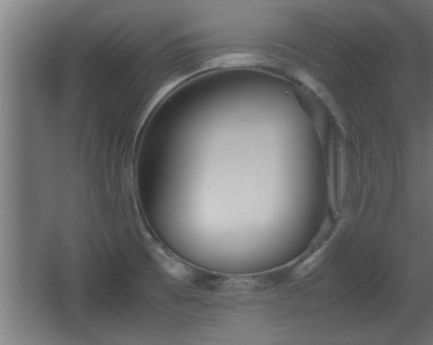 X0000067911473200604201352