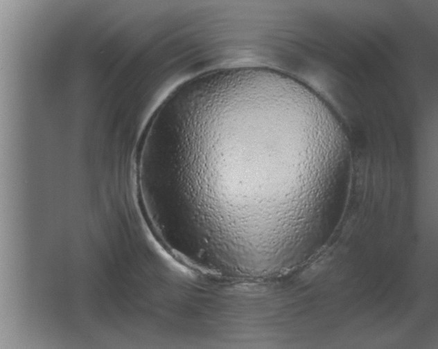 X0000067911476200604201351