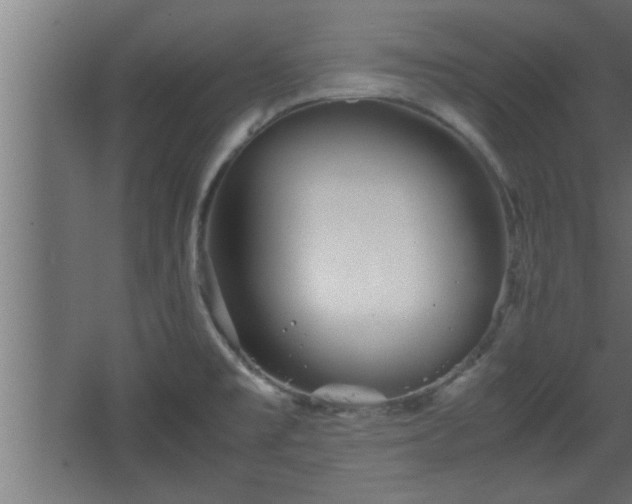 X0000067911477200604201351