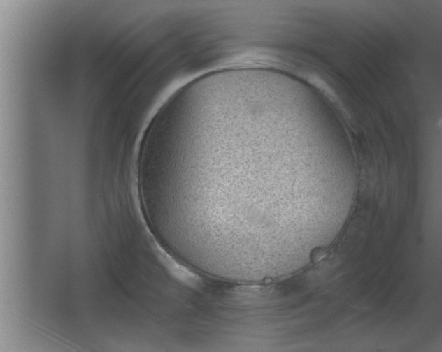 X0000067911478200604201351